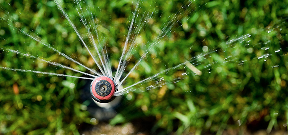 Water Wise Sprinkler Photo