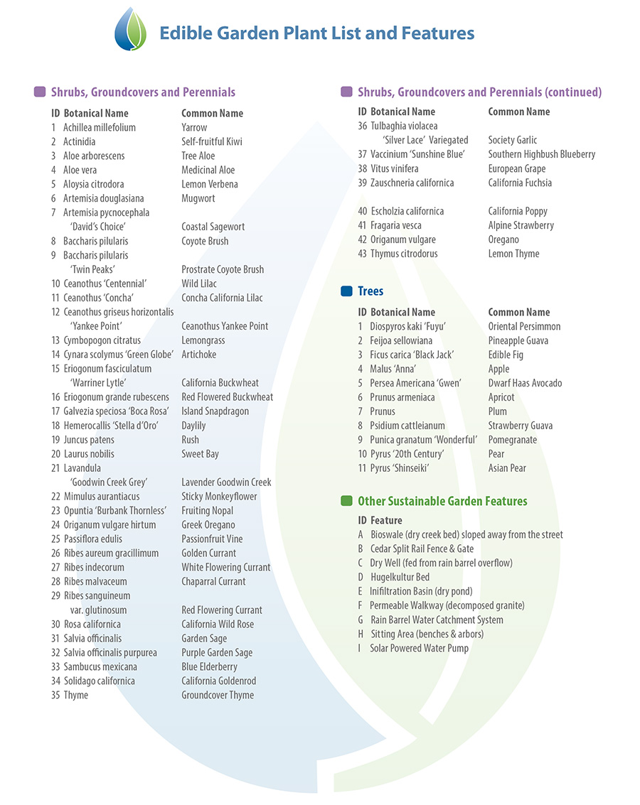 Edible Garden Plant and Feature List